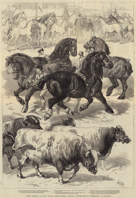 किलबर्न में रॉयल एग्रीकल्चर सोसायटी की अंतर्राष्ट्रीय प्रदर्शनी में पशु पुरस्कार द्वारा सैमुअल जॉन कार्टर