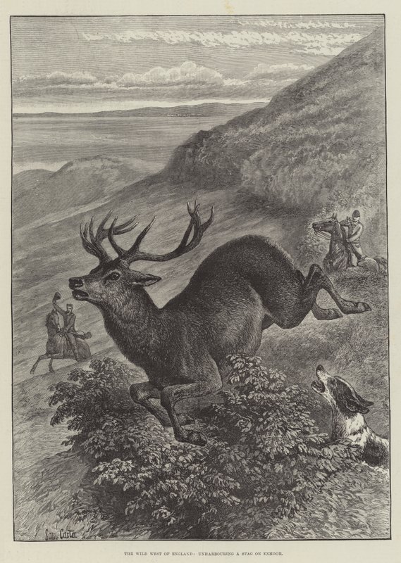 इंग्लैंड का वाइल्ड वेस्ट, एक्मोर पर एक हरिण को निहत्था करता है द्वारा सैमुअल जॉन कार्टर