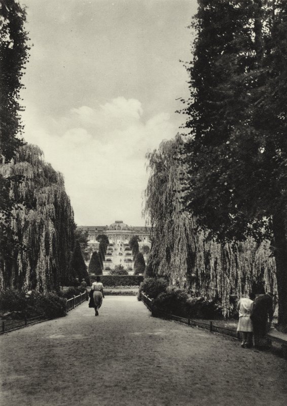 पॉट्सडैम, द टैरेस ऑफ़ सैंसौसी; Sanssouci की छतें (b / w फोटो) द्वारा साशा स्टोन