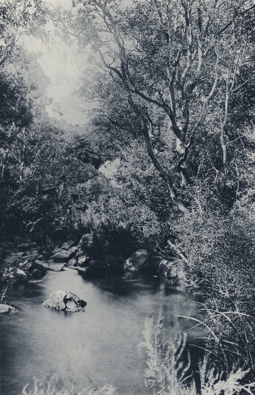 एक परी दृश्य, Witpoortje के पास (b/w फोटो) द्वारा दक्षिण अफ्रीकी फोटोग्राफर