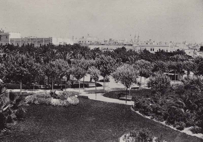 Cadiz: Parque Genoves (b/w फोटो) द्वारा स्पैनिश फोटोग्राफर