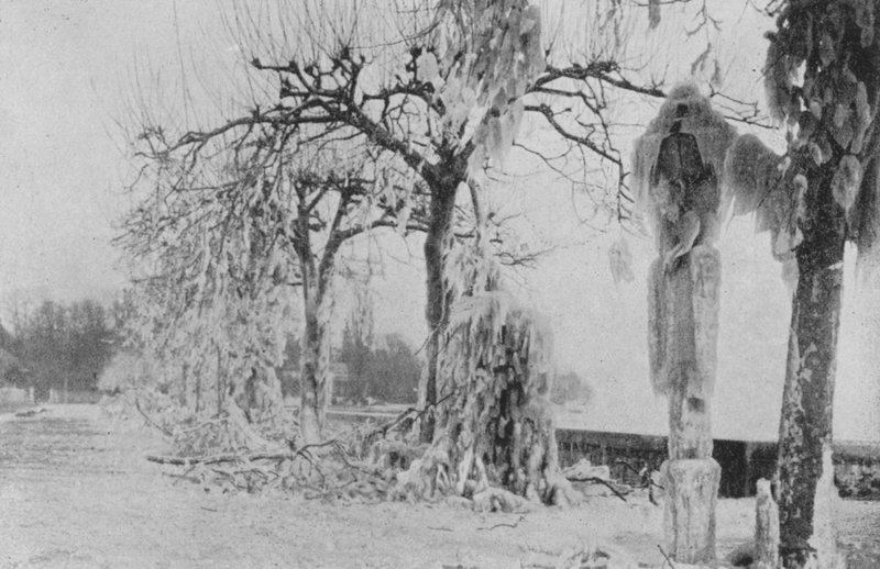 जेनेवा में पाक्विस में, शीतकालीन 1896 (बी/डब्ल्यू फोटो) द्वारा स्विस फोटोग्राफर