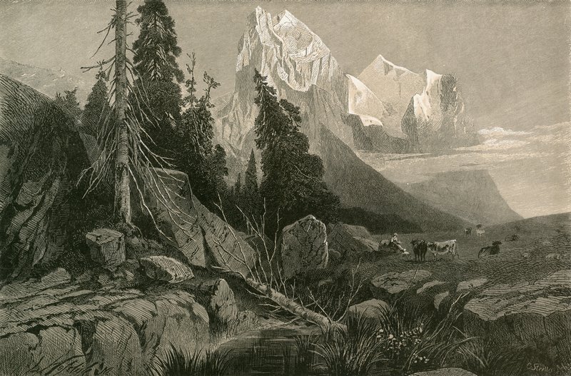 वेलहॉर्न और वेटरहॉर्न द्वारा स्विस स्कूल