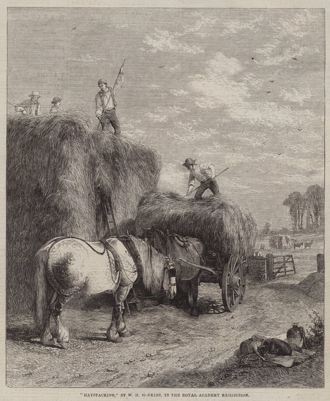 Haystacking द्वारा WH हॉपकिंस