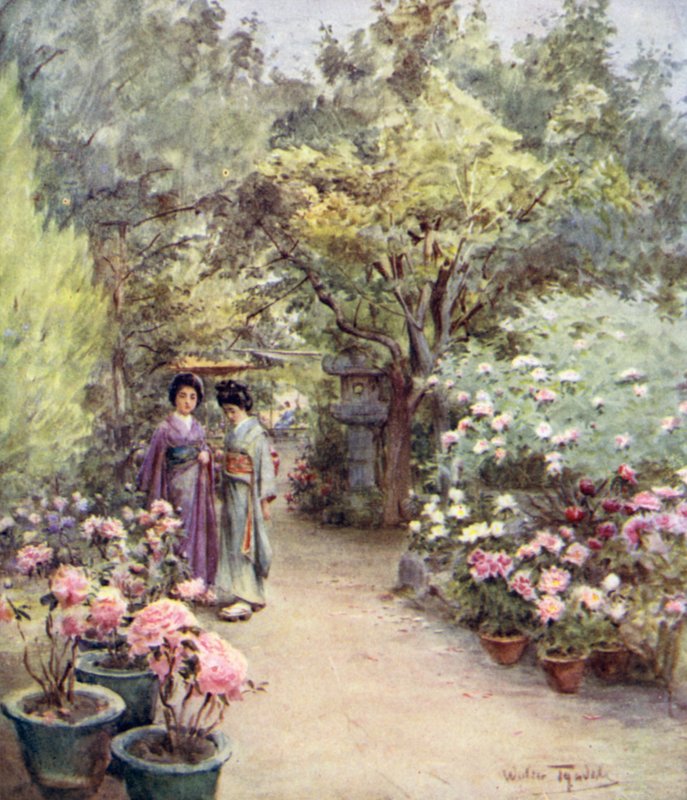 चाय बागान, क्योटो में Peonies द्वारा वाल्टर फ्रेडरिक रूफ टाइंडेल