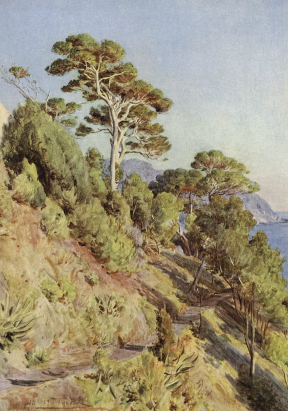 विला प्यूमा, Sestri Levante द्वारा वाल्टर फ्रेडरिक रूफ टाइंडेल