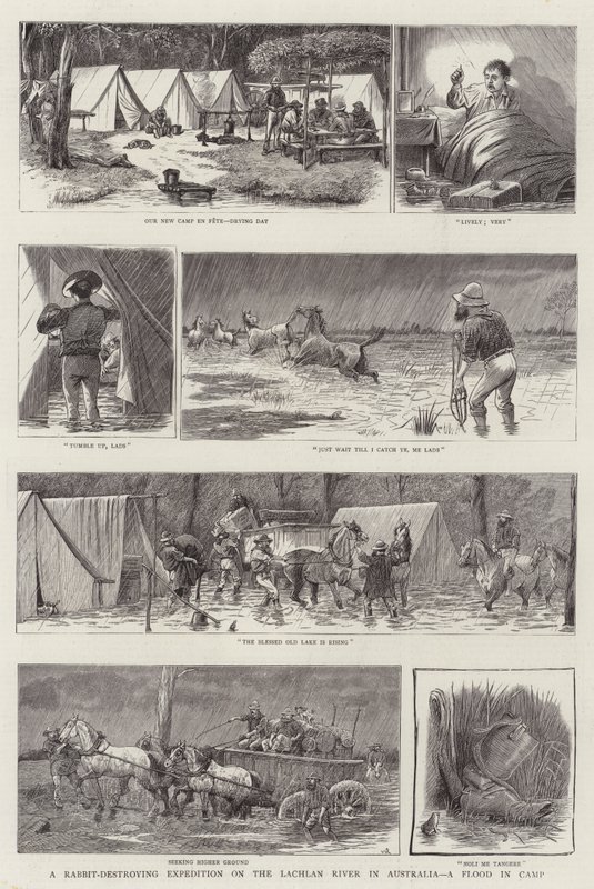 ऑस्ट्रेलिया में लाचलान नदी पर एक खरगोश-विनाशकारी अभियान, एक बाढ़ शिविर में द्वारा विलियम राल्स्टन