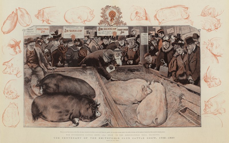 स्मिथफील्ड क्लब कैटल शो की शताब्दी, 1798-1897 द्वारा विलियम स्मॉल