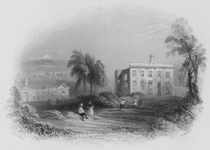 डांगन कैसल, उनकी ग्रेस द ड्यूक ऑफ वेलिंगटन (उत्कीर्णन) का जन्म स्थान द्वारा विलियम हेनरी (बाद) बार्टलेट