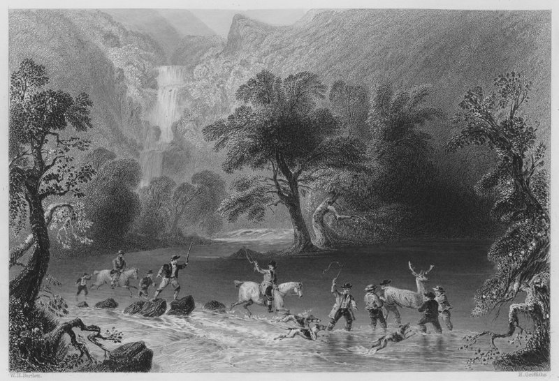 डेरीकुनिही कैस्केड के पास, किलार्नी (उत्कीर्णन) द्वारा विलियम हेनरी (बाद) बार्टलेट