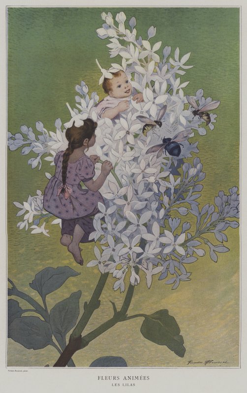 एनीमे फूल। Les Lilas। (एनिमेटेड फूल: लिलाक) द्वारा फर्मिन बूसेट के बाद