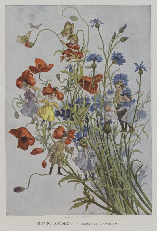 फ्लेम एनीमे। Bluets et Coquelicots। (एनिमेटेड फूल: कॉर्नफ्लॉवर और पॉपपीज़) द्वारा फर्मिन बूसेट के बाद