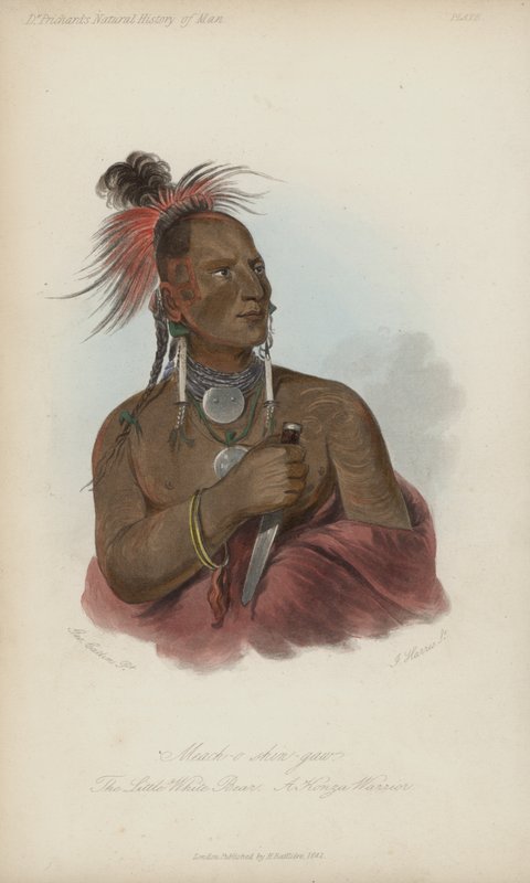 मच-ओ शिन-गॉ, द लिटिल व्हाइट बियर, ए कोंज़ा योद्धा (एक्वाटिंट) द्वारा जॉर्ज कैटलिन के बाद