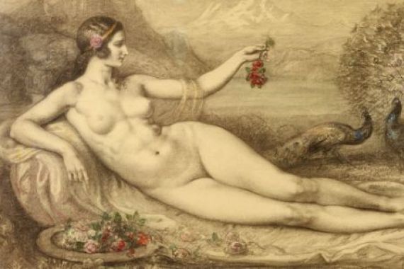Armand Point