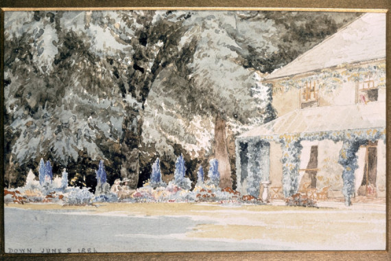 J. Wedgwood